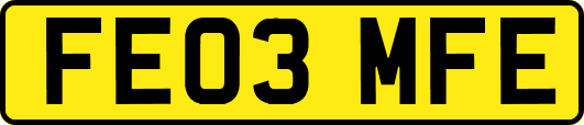 FE03MFE