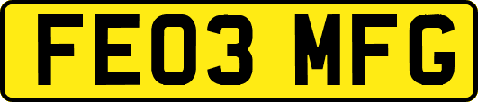 FE03MFG