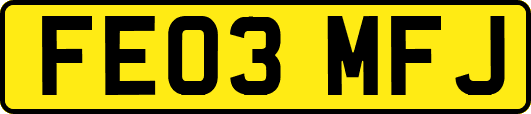 FE03MFJ