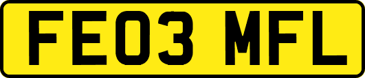 FE03MFL