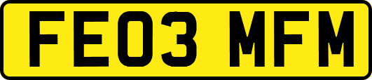 FE03MFM