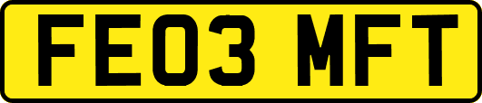 FE03MFT