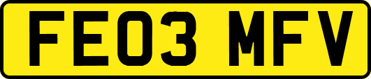 FE03MFV