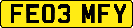 FE03MFY