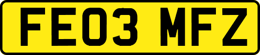FE03MFZ