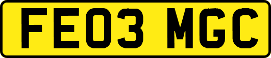 FE03MGC