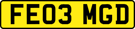 FE03MGD