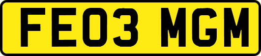 FE03MGM