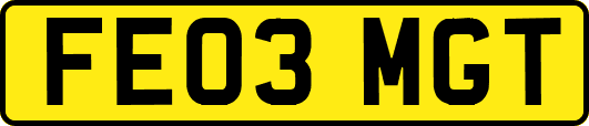 FE03MGT