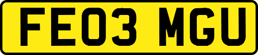 FE03MGU