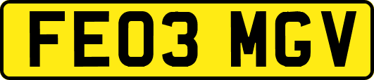 FE03MGV