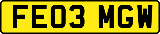 FE03MGW