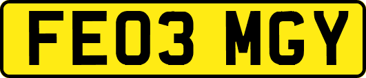 FE03MGY