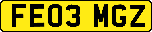 FE03MGZ
