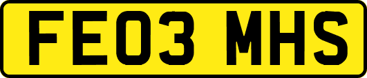 FE03MHS