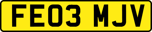 FE03MJV