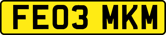 FE03MKM