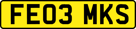 FE03MKS