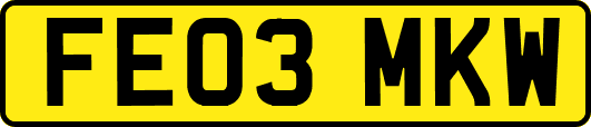 FE03MKW