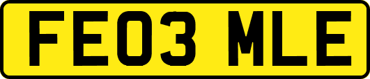 FE03MLE