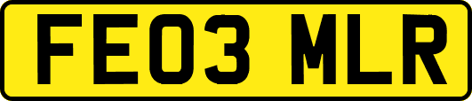 FE03MLR