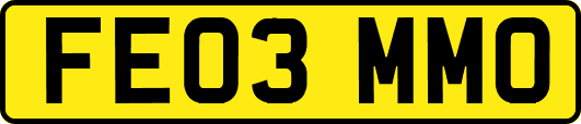 FE03MMO