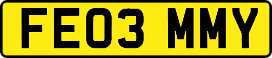 FE03MMY