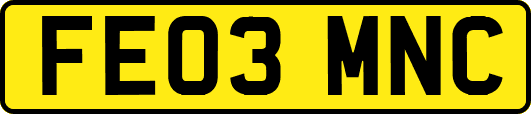 FE03MNC