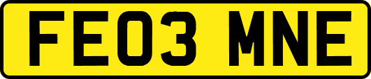 FE03MNE