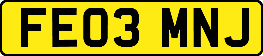 FE03MNJ