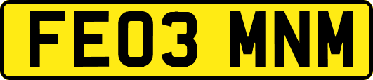 FE03MNM