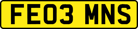 FE03MNS