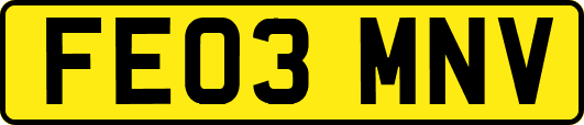 FE03MNV