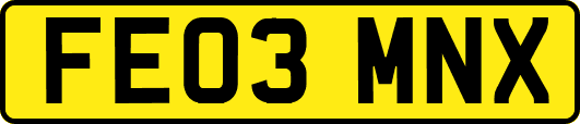 FE03MNX