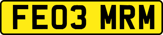 FE03MRM
