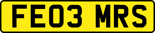 FE03MRS