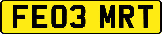 FE03MRT