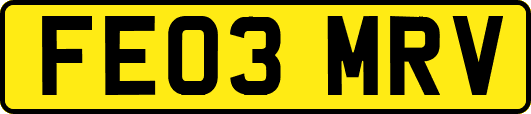 FE03MRV