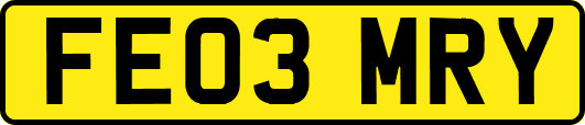 FE03MRY
