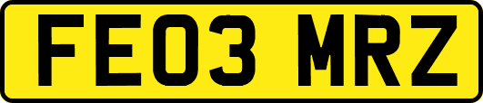 FE03MRZ