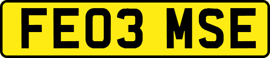 FE03MSE