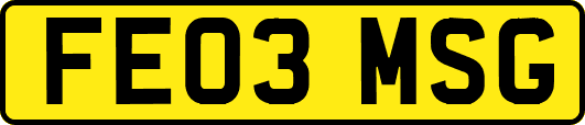 FE03MSG