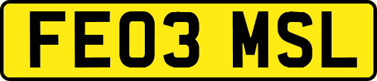 FE03MSL