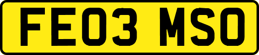 FE03MSO