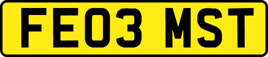 FE03MST