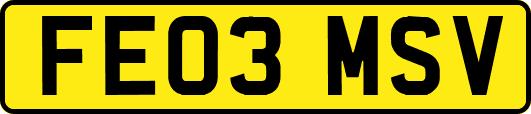 FE03MSV