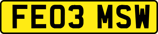 FE03MSW