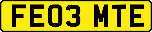 FE03MTE
