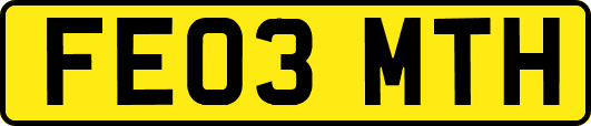 FE03MTH