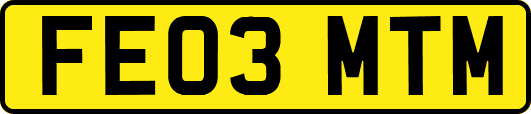 FE03MTM